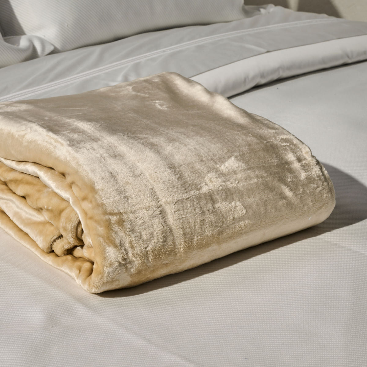 Cobertor Supreme Super Soft - Bege